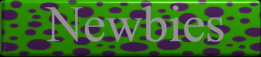 [Newbies]